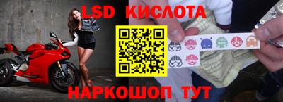 эйфоретик Моздок
