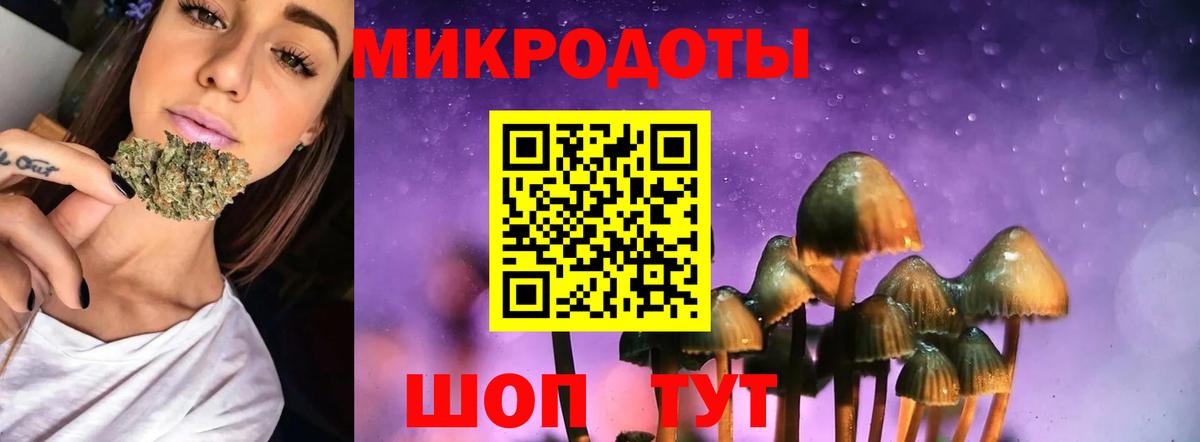 Томск  Галлюциногенные грибы мицелий  как найти   Вход с VPN 